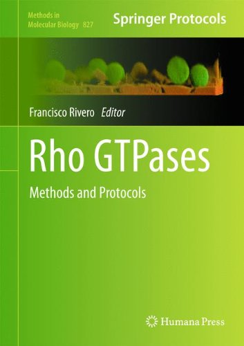 Rho GTPases: Methods and Protocols (Methods in Molecular Biology)
