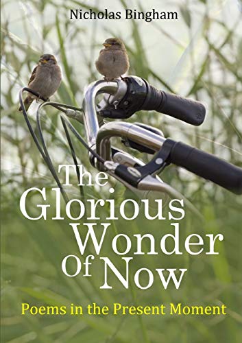 The Glorious Wonder of Now; Poems in the Present Moment