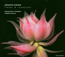 Johannes Brahms: Music for You - Lieder & Romanzen