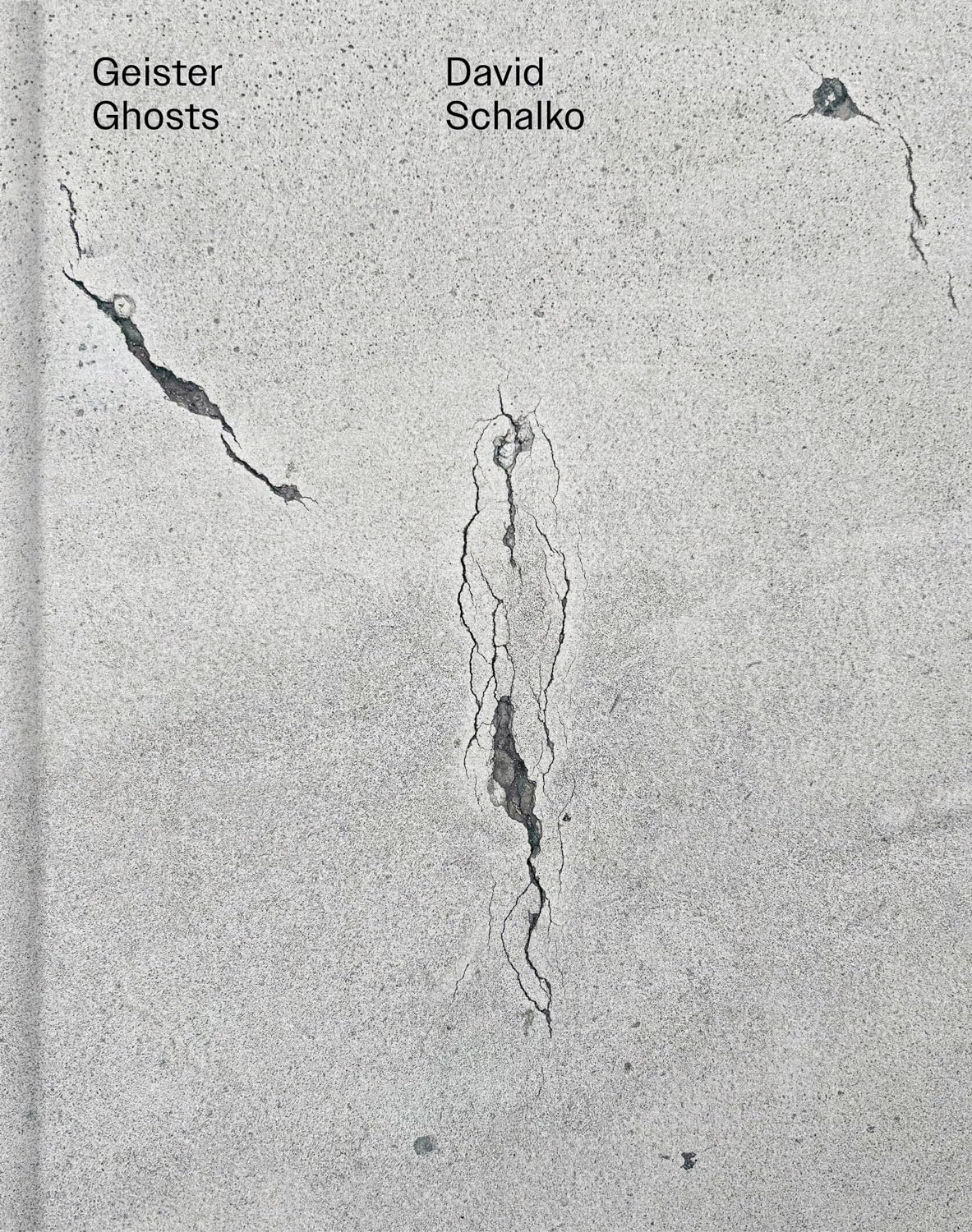 David Schalko: Geister / Ghosts