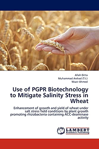 Use of PGPR Biotechnology to Mitigate Salinity Stress in Wheat: Enhancement of growth and yield of wheat under salt stress field conditions by plant ... containing ACC-deaminase activity