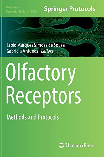 Olfactory Receptors: Methods and Protocols (Methods in Molecular Biology, Band 1820)