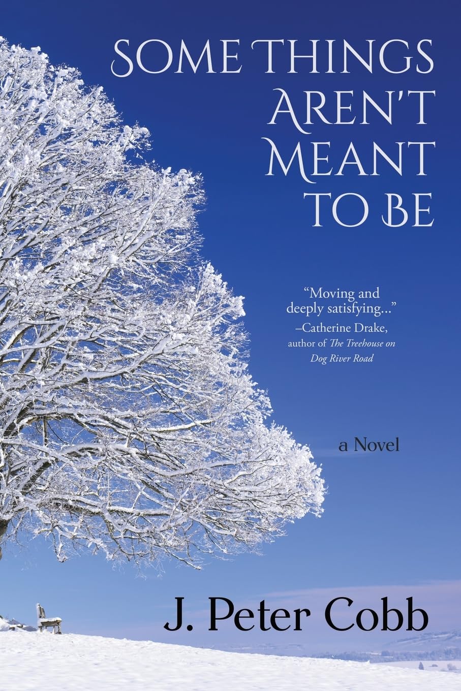 Some Things Aren't Meant to Be: A Novel