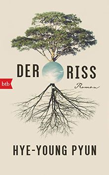 Der Riss: Roman