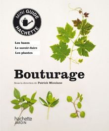 Bouturage : division, marcottage