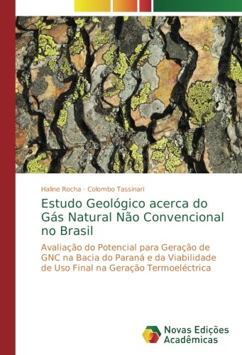Estudo Geológico acerca do Gás Natural Não Convencional no Brasil: Avaliação do Potencial para Geração de GNC na Bacia do Paraná e da Viabilidade de Uso Final na Geração Termoeléctrica