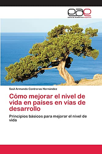 Cómo mejorar el nivel de vida en países en vías de desarrollo: Principios básicos para mejorar el nivel de vida