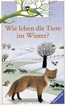 Die Welt entdecken: Wie leben die Tiere im Winter?