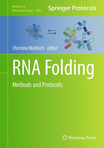 RNA Folding: Methods and Protocols (Methods in Molecular Biology)