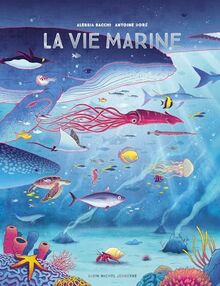 La vie marine : écosystèmes et biodiversité