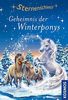 Sternenschweif, 55, Geheimnis der Winterponys