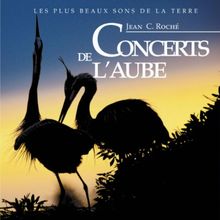 Concerts De L'aube