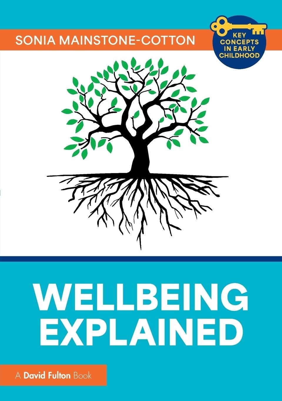 Wellbeing Explained (Key Concepts in Early Childhood)