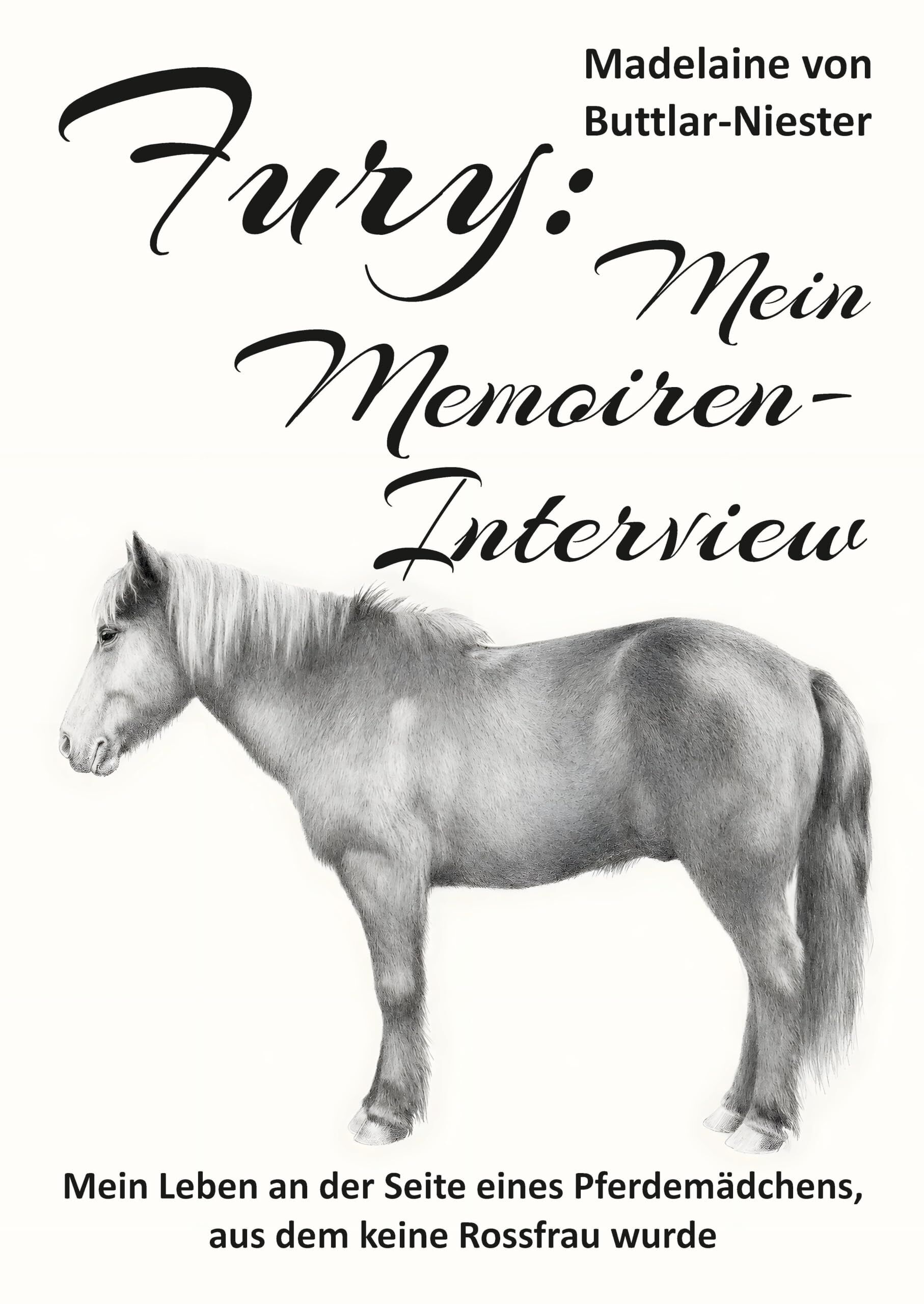 Fury: Mein Memoiren-Interview