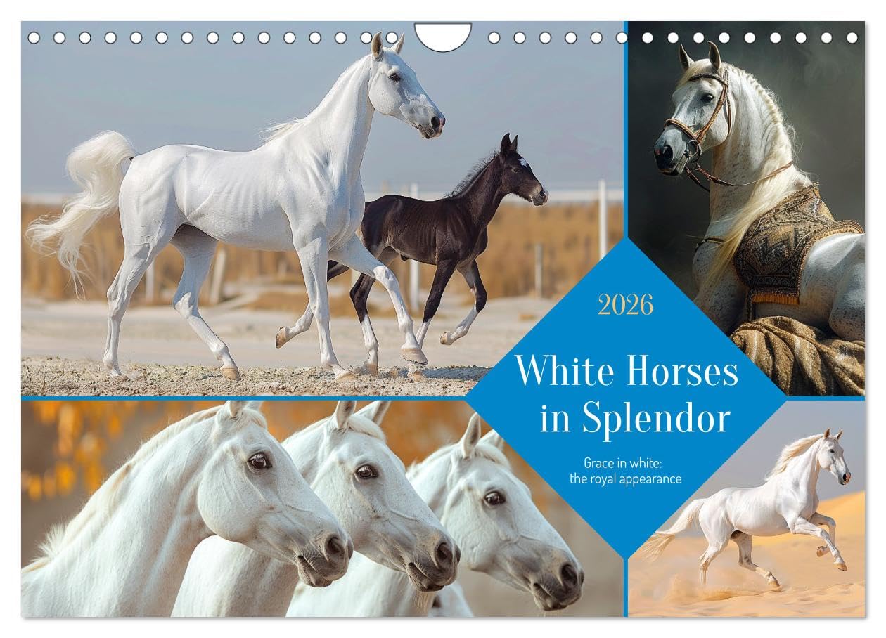 White Horses in Splendor (Wall Calendar 2026 DIN A4 landscape), CALVENDO 12 Month Wall Calendar: Snow-white splendor - a symbol of purity