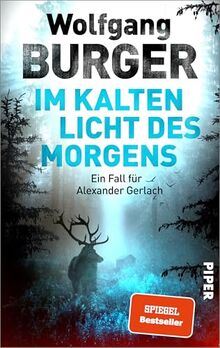 Im kalten Licht des Morgens (Alexander-Gerlach-Reihe 20): Ein Fall für Alexander Gerlach | Jubiläumsband der beliebten Heidelberg-Krimis