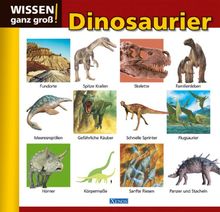 Wissen ganz groß! Dinosaurier