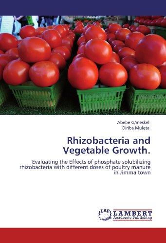 Rhizobacteria and Vegetable Growth.: Evaluating the Effects of phosphate solubilizing rhizobacteria with different doses of poultry manure in Jimma town