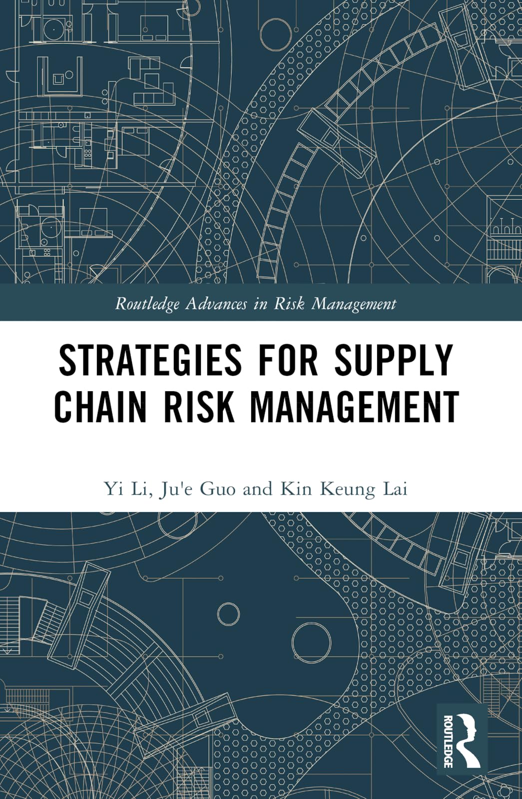 Strategies for Supply Chain Risk Management (Routledge Advances in Risk Management)