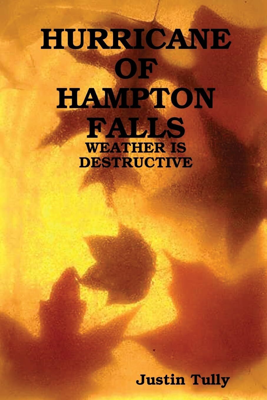 Hurricane Of Hampton Falls