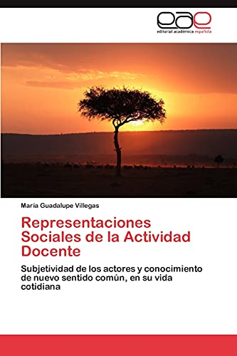 Representaciones Sociales de la Actividad Docente: Subjetividad de los actores y conocimiento de nuevo sentido común, en su vida cotidiana