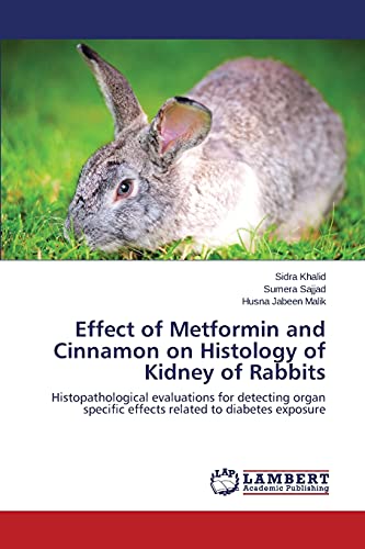 Effect of Metformin and Cinnamon on Histology of Kidney of Rabbits: Histopathological evaluations for detecting organ specific effects related to diabetes exposure