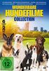 Wunderbare Hundefilme Collection [2 DVDs]