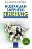 Australian Shepherd Erziehung: Hundeerziehung für Deinen Australian Shepherd Welpen