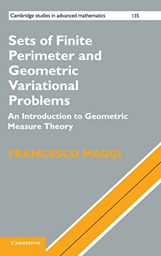 Sets of Finite Perimeter and Geometric Variational Problems: An Introduction to Geometric Measure Theory (Cambridge Studies in Advanced Mathematics, Band 135)