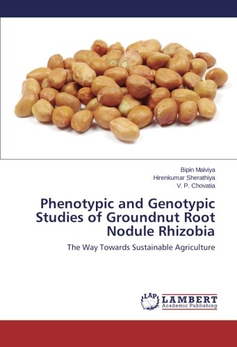 Phenotypic and Genotypic Studies of Groundnut Root Nodule Rhizobia: The Way Towards Sustainable Agriculture