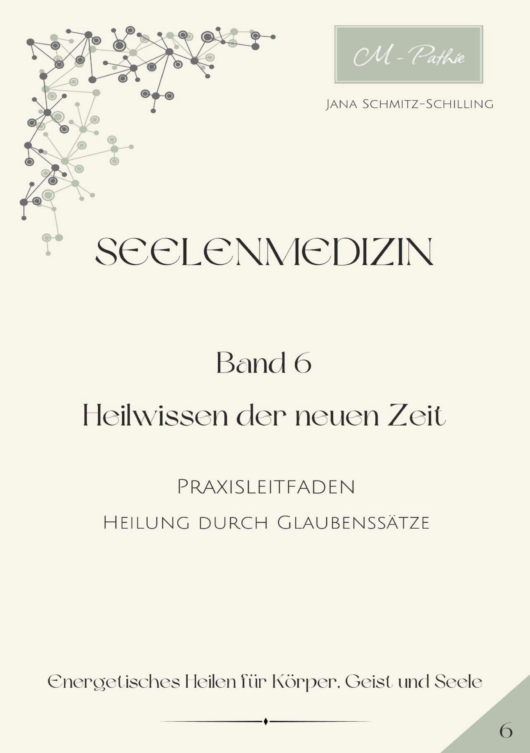 Seelenmedizin: Band 6 - Praxisleitfaden - Heilung durch Glaubenssätze