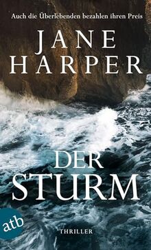 Der Sturm: Thriller