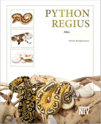 Python regius: Atlas of Colour Morphs Keeping and Breeding