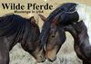 Wilde Pferde • Mustangs in USA (Wandkalender 2024 DIN A2 quer): Die Mustangs der USA in Wyoming und Utah (Monatskalender, 14 Seiten ) (CALVENDO Tiere)
