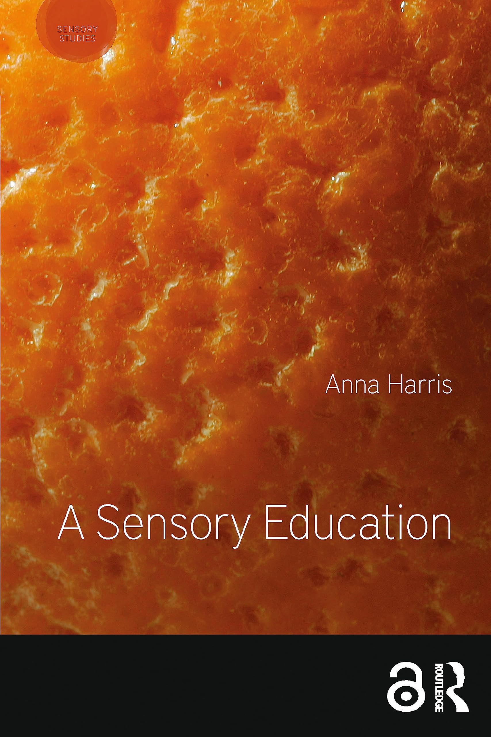 A Sensory Education (Sensory Studies)