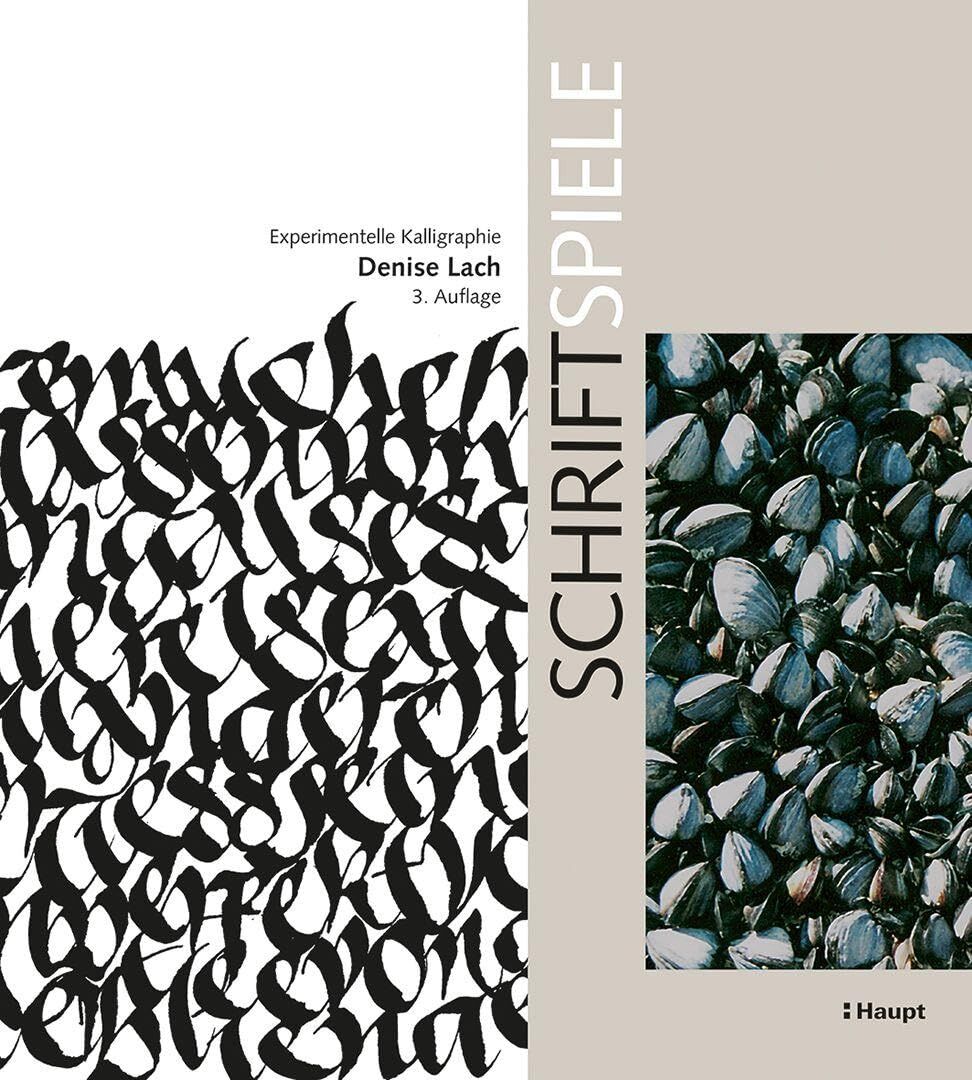 Schriftbilder – experimentelle Kalligrafie: 150 Variationen von