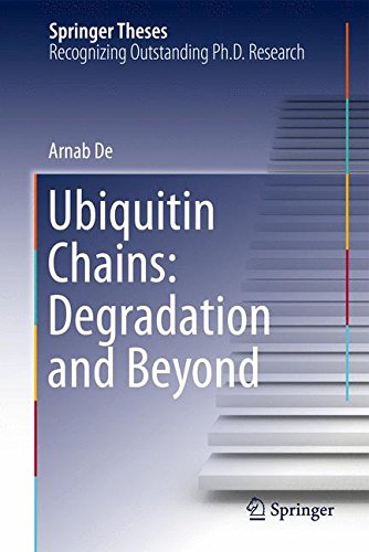 Ubiquitin Chains: Degradation and Beyond (Springer Theses)