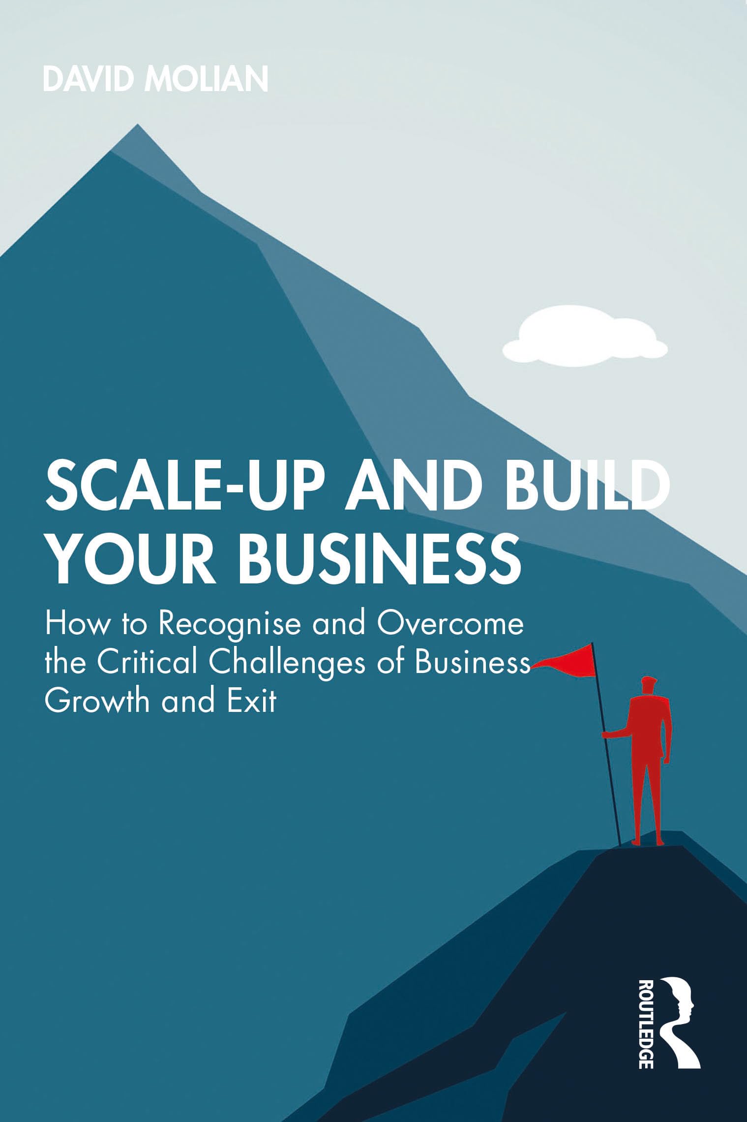 Scale-up and Build Your Business: How to Recognise and Overcome the Critical Challenges of Business Growth and Exit