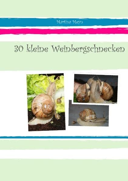 30 kleine Weinbergschnecken
