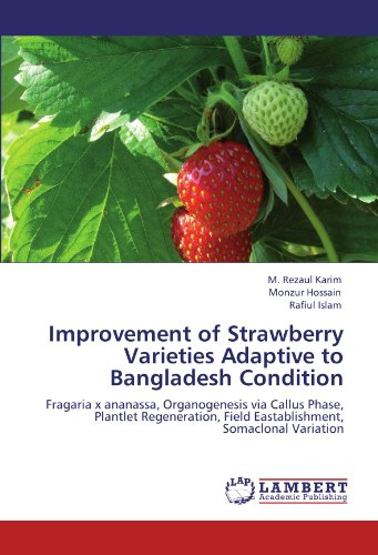 Improvement of Strawberry Varieties Adaptive to Bangladesh Condition: Fragaria x ananassa, Organogenesis via Callus Phase, Plantlet Regeneration, Field Eastablishment, Somaclonal Variation