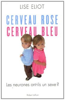 Cerveau rose, cerveau bleu : les neurones ont-ils un sexe ?