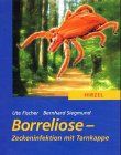 Borreliose