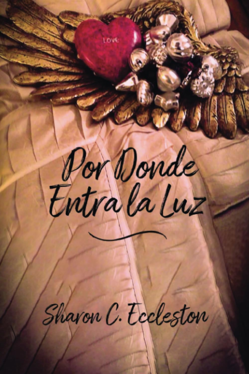 Por Donde Entra la Luz