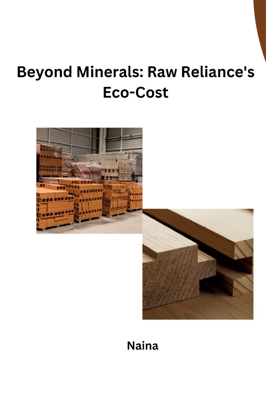 Beyond Minerals: Raw Reliance's Eco-Cost: DE