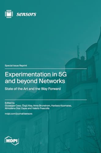 Experimentation in 5G and beyond Networks: State of the Art and the Way Forward