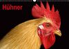 Hühner/Geburtstagskalender (Wandkalender immerwährend DIN A3 quer)