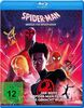 Spider-Man: Across the Spider-Verse [Blu-ray]