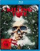 The Killing Tree - uncut Fassung [Blu-ray]