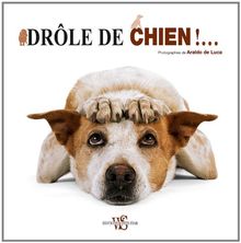 Drôle de chien !...