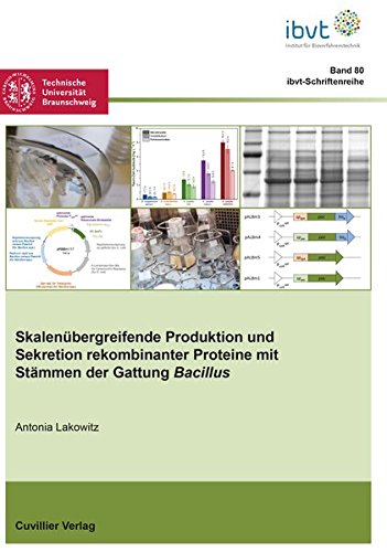 Skalenübergreifende Produktion und Sekretion rekombinanter Proteine mit Stämmen der Gattung Bacillus (Schriftenreihe des Institutes für Bioverfahrenstechnik der Technischen Universität Braunschweig)